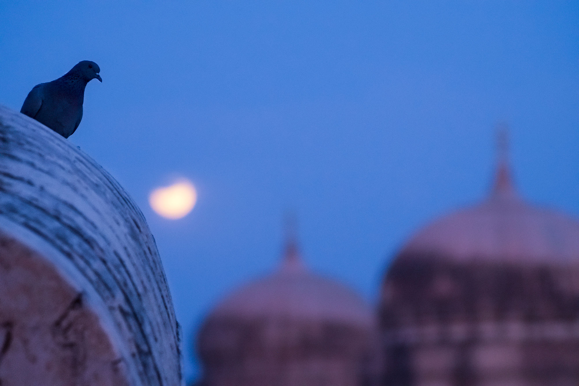 India photo trips, Mandawa dawn